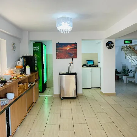 Guest house Casa Barina Costinesti